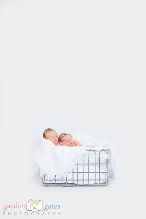 Twins Yakima Newborn photography