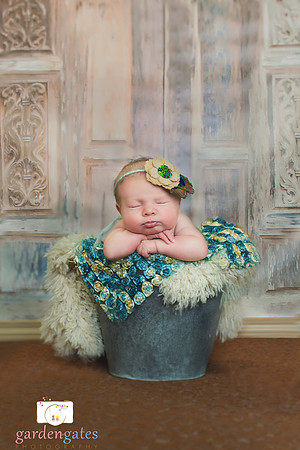 Yakima Photographer