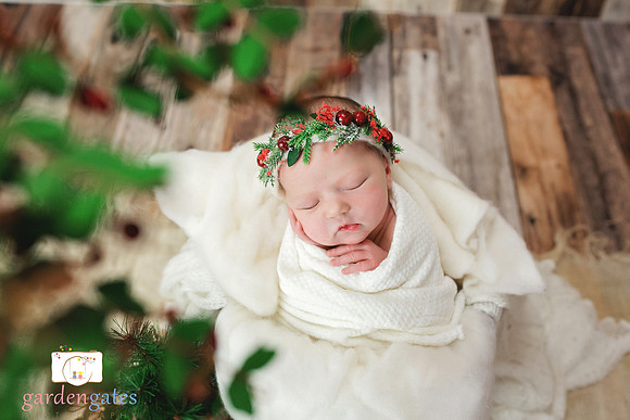 Yakima Newborn Photogapher