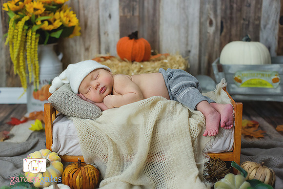 Yakima Newborn Photogapher