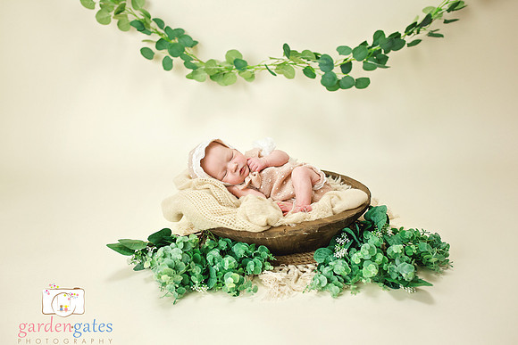 Yakima Newborn Photogapher