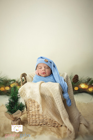 Yakima Newborn Photogapher