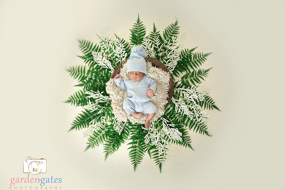 Yakima Newborn Photogapher