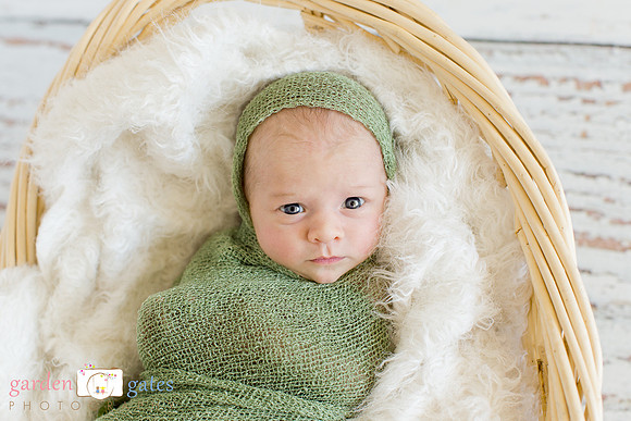 Yakima Newborn Photography